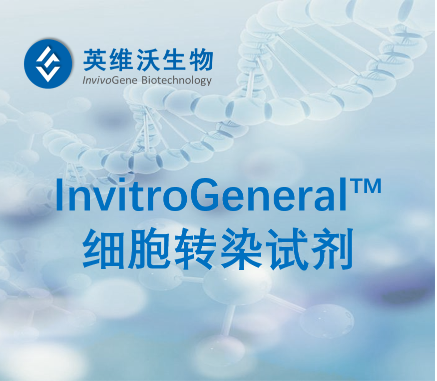 通用型转染试剂